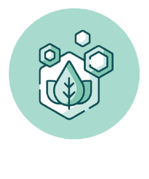 Leaf with hexagons, representing Singapore’s sustainability impact.